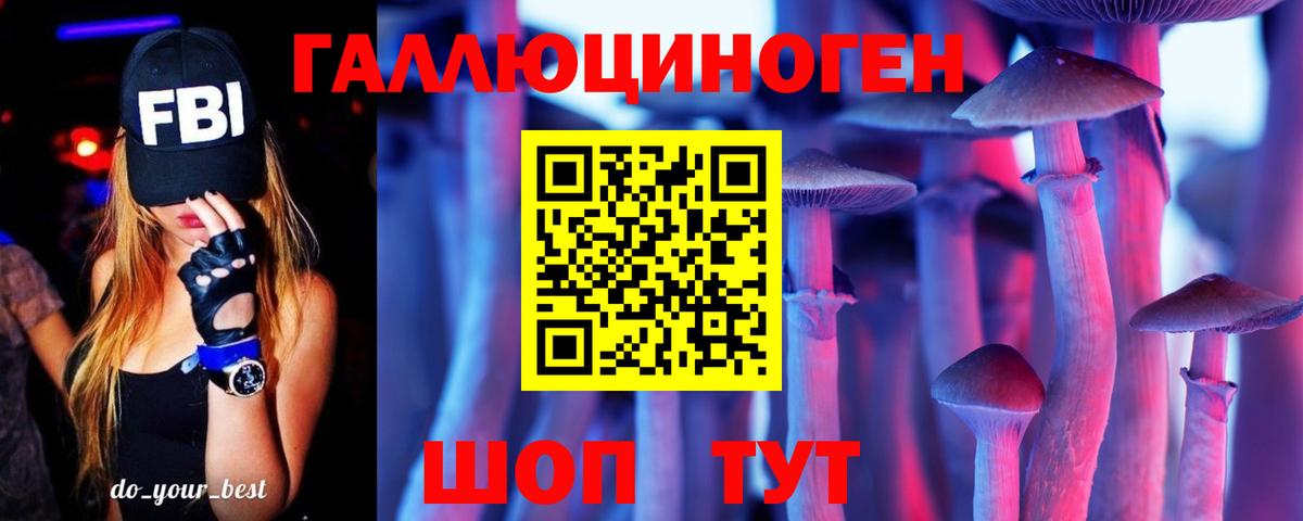 Галлюциногенные грибы мухоморы  Псилоцибиновые грибы Cubensis  где купить наркоту  Вход с VPN  Зеленогорск 